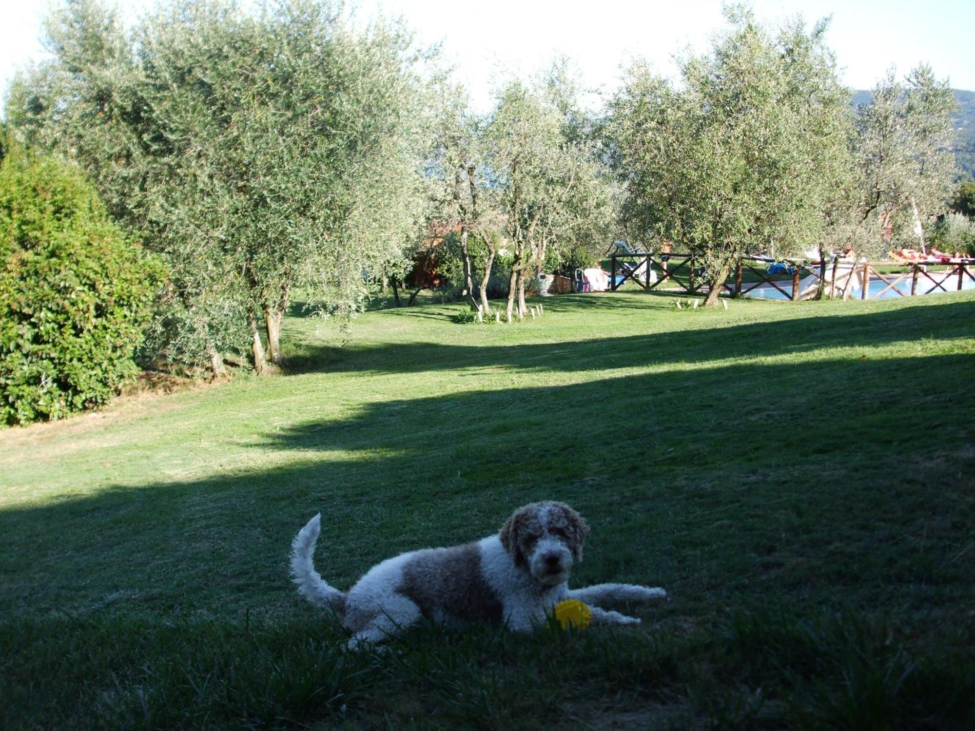 Poggio Agli Ulivi Villa Barberino di Mugello Exterior foto